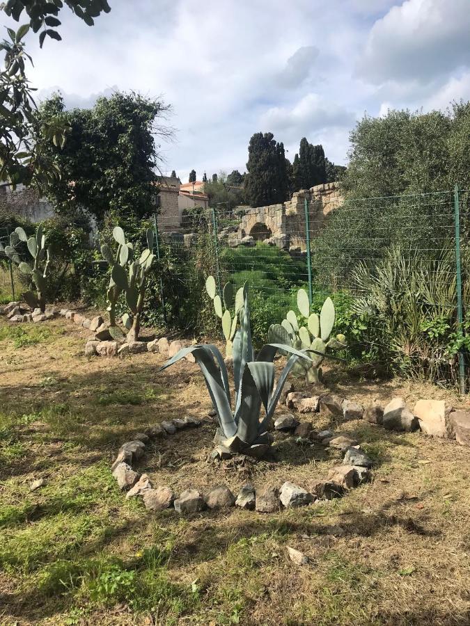 A Casa Di Peppino Villa Greco Tindari Εξωτερικό φωτογραφία