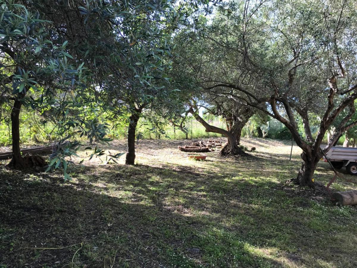 A Casa Di Peppino Villa Greco Tindari Εξωτερικό φωτογραφία