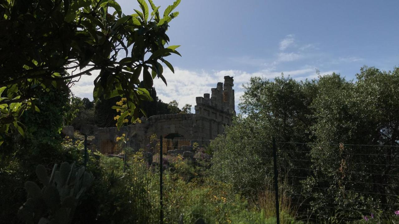 A Casa Di Peppino Villa Greco Tindari Εξωτερικό φωτογραφία