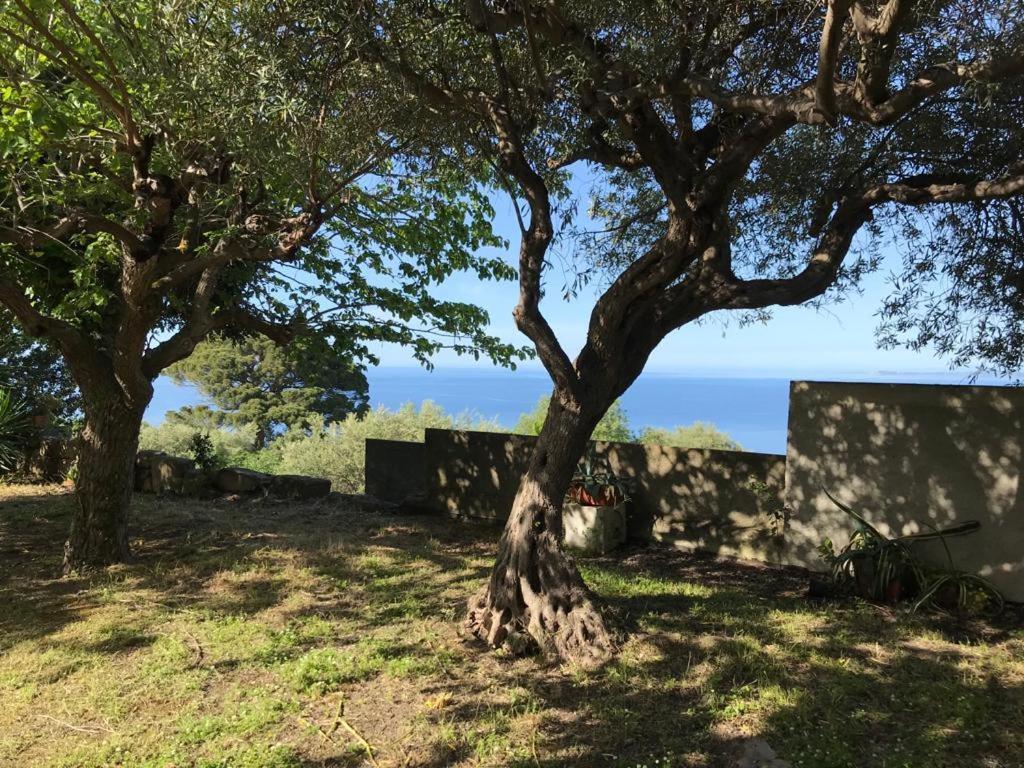 A Casa Di Peppino Villa Greco Tindari Εξωτερικό φωτογραφία