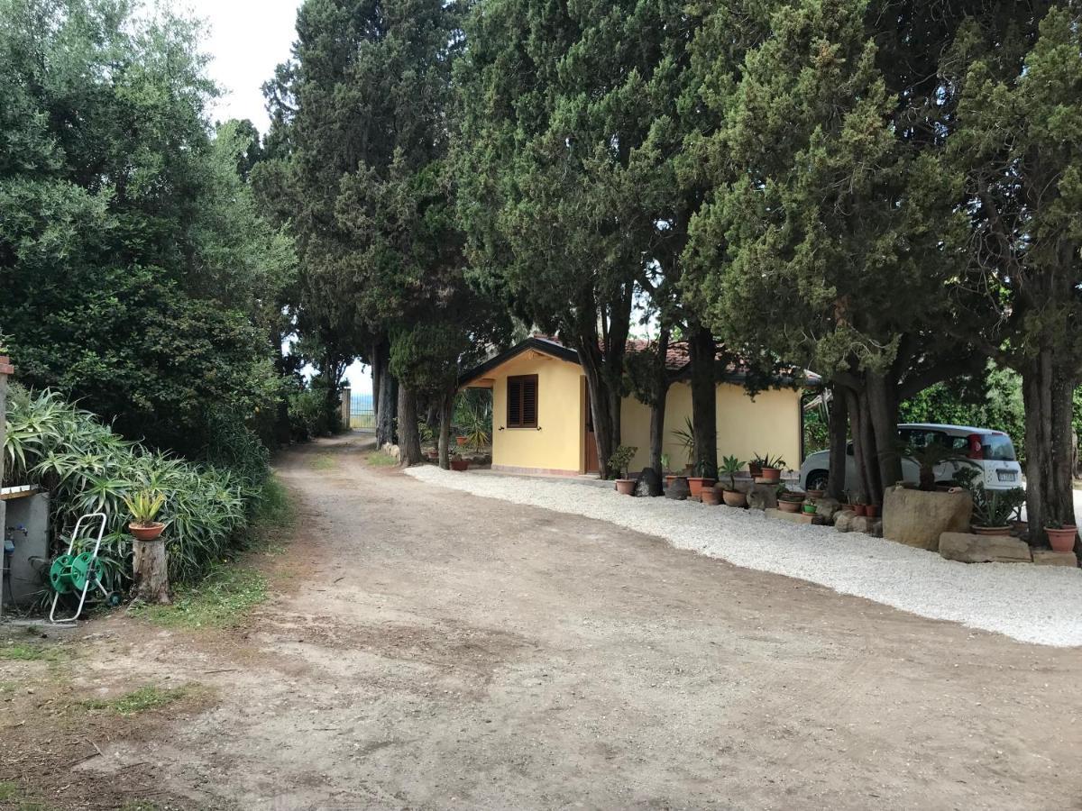 A Casa Di Peppino Villa Greco Tindari Εξωτερικό φωτογραφία