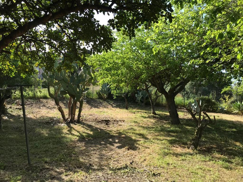 A Casa Di Peppino Villa Greco Tindari Εξωτερικό φωτογραφία