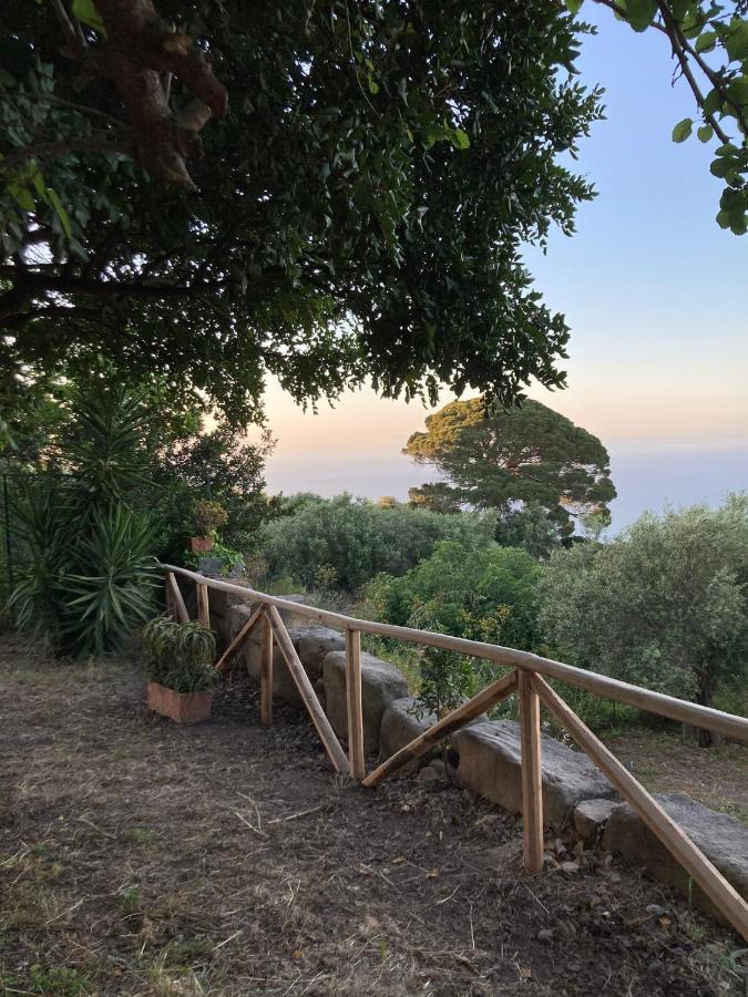 A Casa Di Peppino Villa Greco Tindari Εξωτερικό φωτογραφία